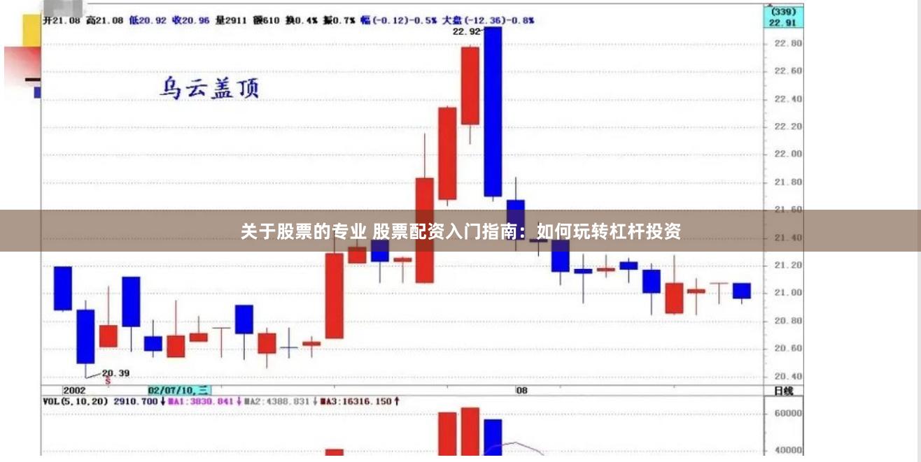 关于股票的专业 股票配资入门指南：如何玩转杠杆投资