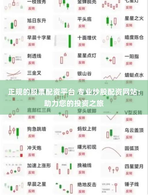 正规的股票配资平台 专业炒股配资网站:助力您的投资之旅