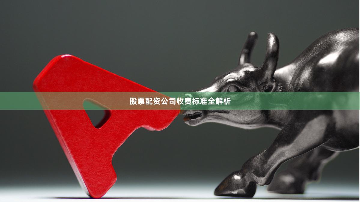 股票配资公司收费标准全解析