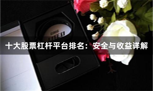 十大股票杠杆平台排名：安全与收益详解